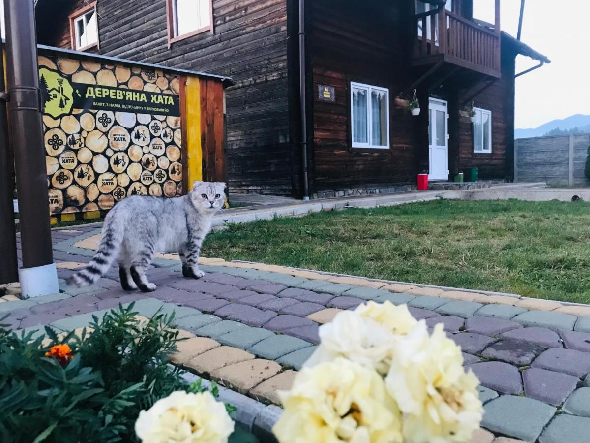 Садиба Дерев*Яна Хата Verhovîna Exterior foto